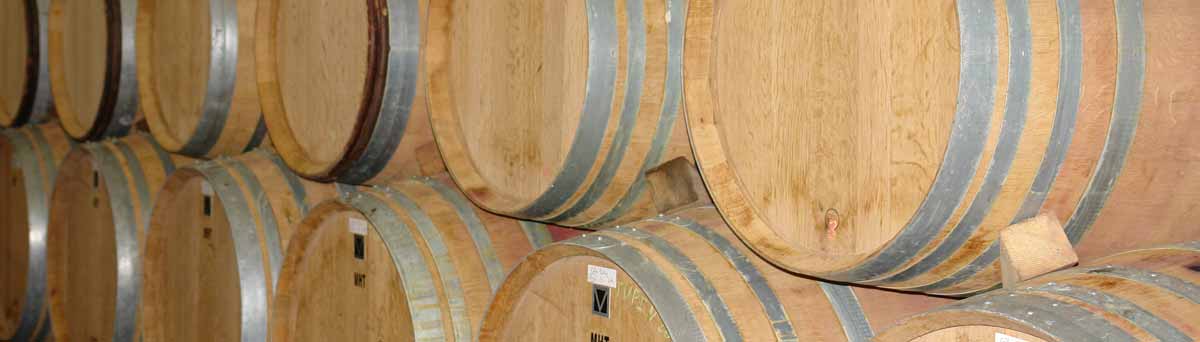 mouton-pere-fils-cave-tonneaux.jpg